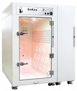 ��ǰ ������