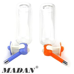 ��ǰ ������